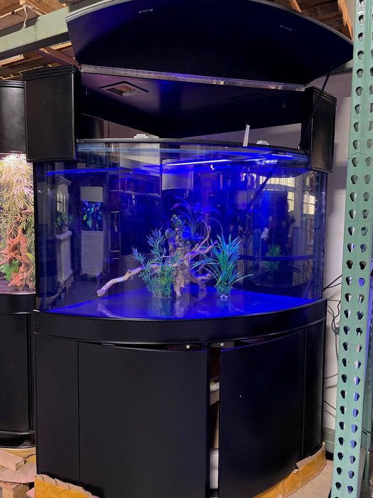 AQUA VIM 250g Corner ¼ Cylinder Glass Aquarium Ensemble in Abyss Black