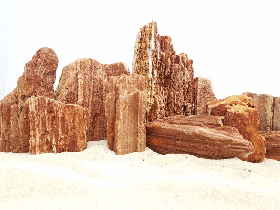 Redwood Petrified Stone Kit-Approximately 3-Medium/6-Small Rocks