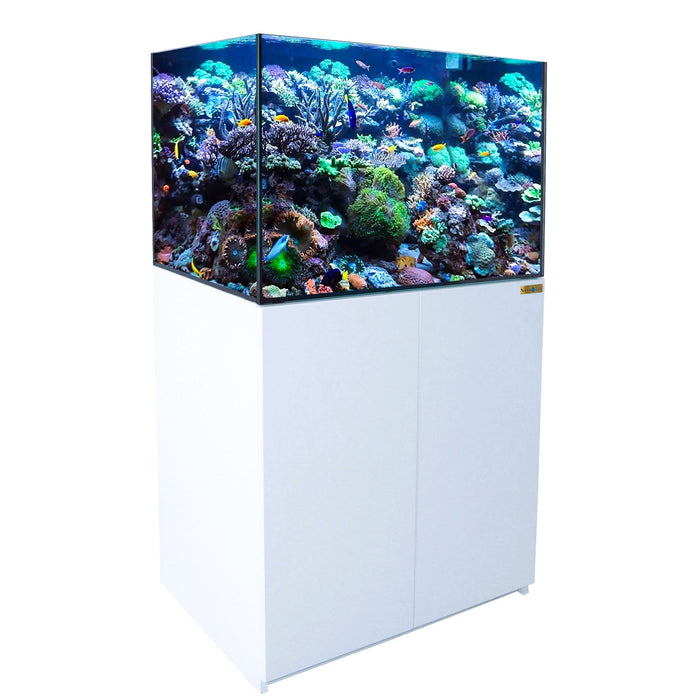 Aqua Dream 100 Gallon Coral Reef Aquarium Ultra Clear Glass Tank & Built in Sump White