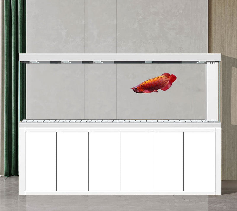 Aqua Dream 500 Gallon Tempered Glass Aquarium White Silver
