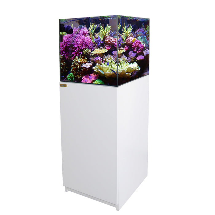 Aqua Dream 50 Gallon Coral Reef Aquarium Ultra Clear Glass Tank & Built in Sump All White