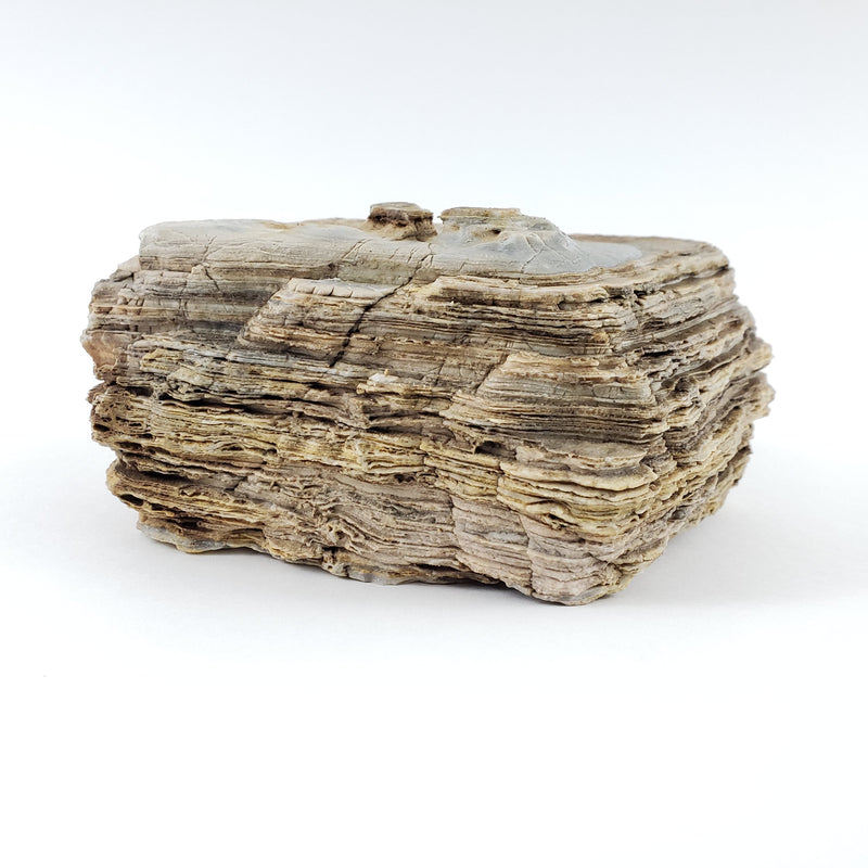 Pagoda Crema Textured Stone - 44 Lbs box of LARGE size stones