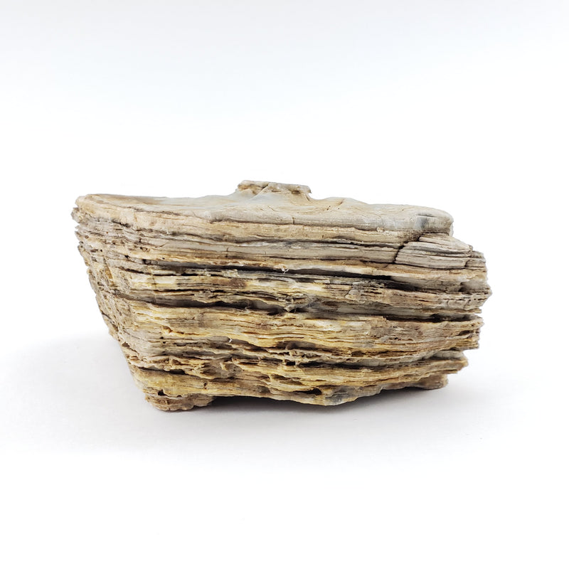 Pagoda Crema Textured Stone 24 Lbs Mix Size Case of Small, Medium and Large