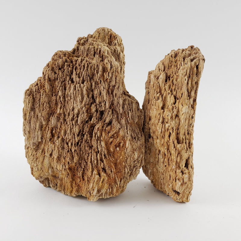 Burma Petrified Stone 25 Gallon Kit-Approximately 1-Large/2-Medium/6-Small Rocks