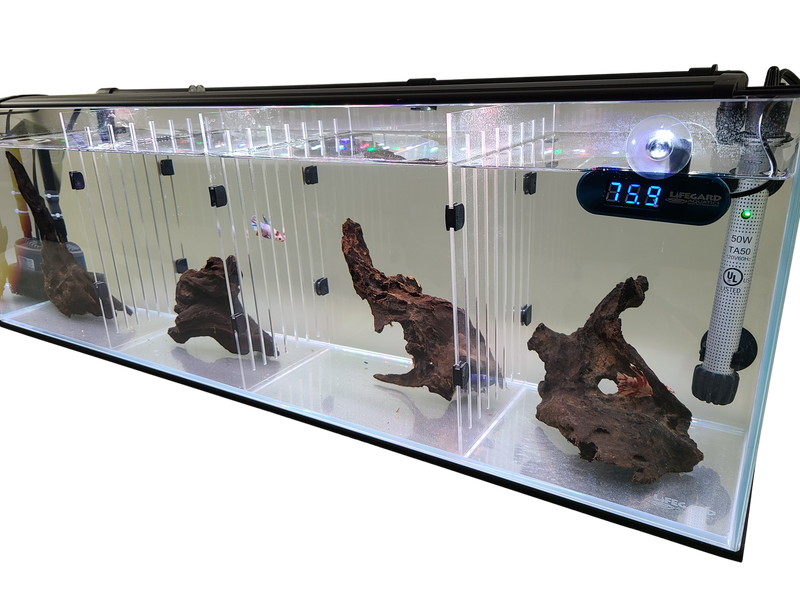 Acrylic Divider Plate for 22 Gallon Bookshelf Aquariums - BLACK