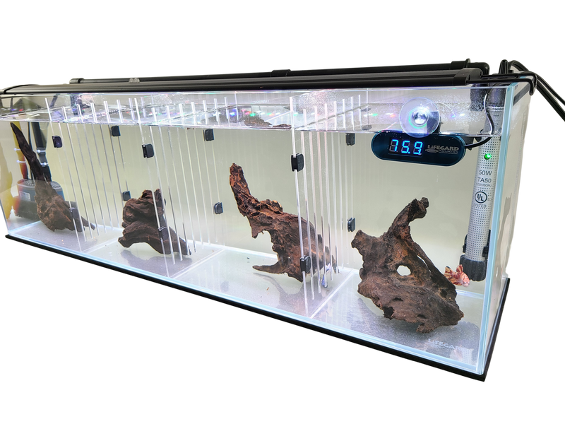 Acrylic Divider Plate for 22 Gallon Bookshelf Aquariums - BLACK