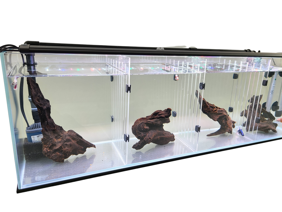 Acrylic Divider Plate for 22 Gallon Bookshelf Aquariums - BLACK