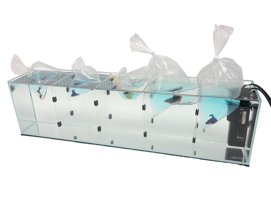 Acrylic Divider Plate for 11 Gallon Bookshelf Aquariums - BLACK