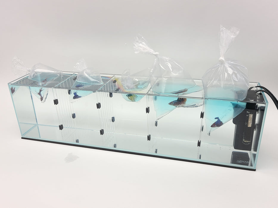 11 Gallon Long Low Iron Ultra Clear Bookshelf Aquarium 5mm Glass - 31.89" x 7.87" x 9.84"