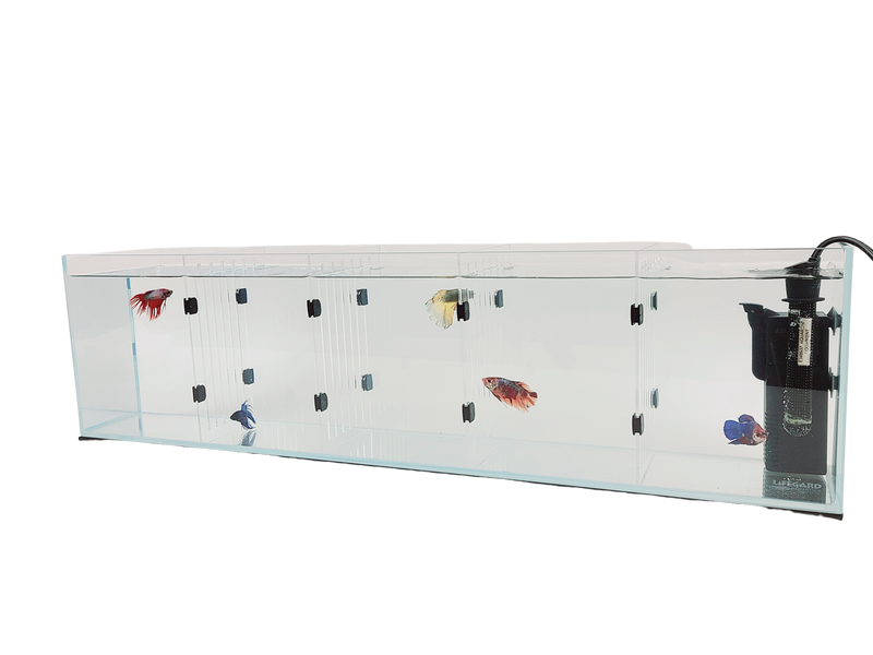 Acrylic Divider Plate for 22 Gallon Bookshelf Aquariums - CLEAR