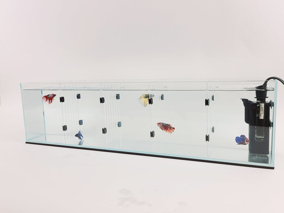 Acrylic Divider Plate for 16 Gallon Bookshelf Aquariums - CLEAR