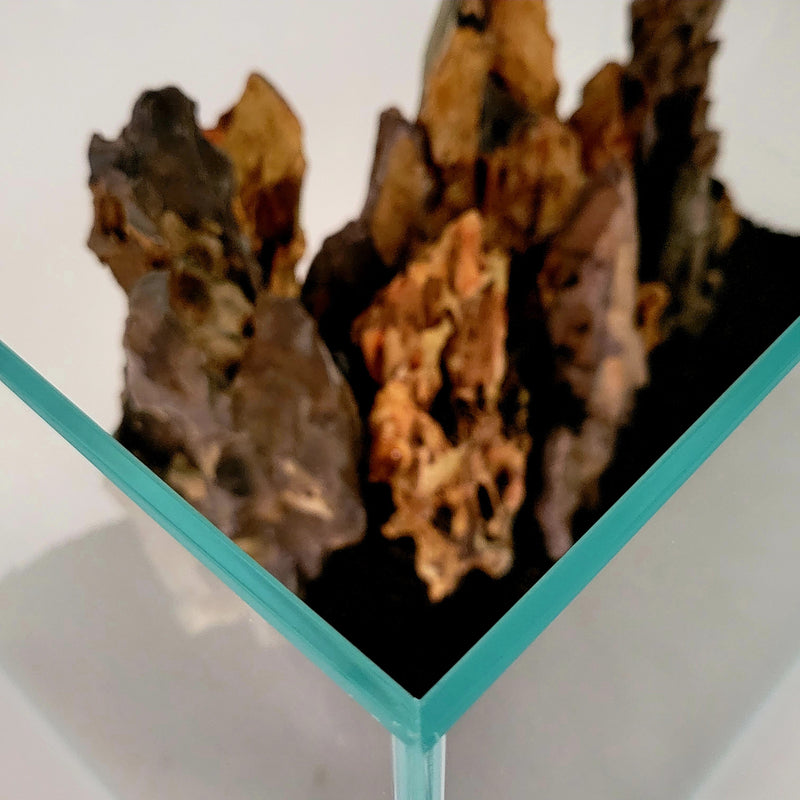 CRYSTAL Rimless Low Iron Ultra Clear Aquarium 5mm (5.44 gallons, 14.17" x 8.66" 10.24")