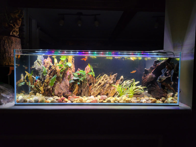 11 Gallon Ultra Low Iron Glass Bookshelf Aquarium Kit 5mm (31.88"x7.87"x9.84")