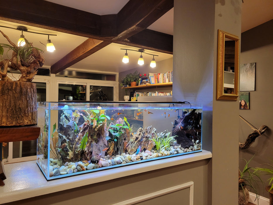 11 Gallon Clear Glass Bookshelf Aquarium Lit 5mm (31.88"x7.87"x9.84")