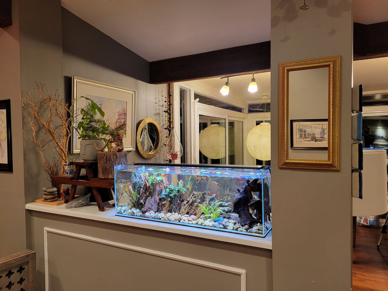 16 Gallon Clear Glass Bookshelf Aquarium Kit 6mm (33.85"x9.84"x11.02")