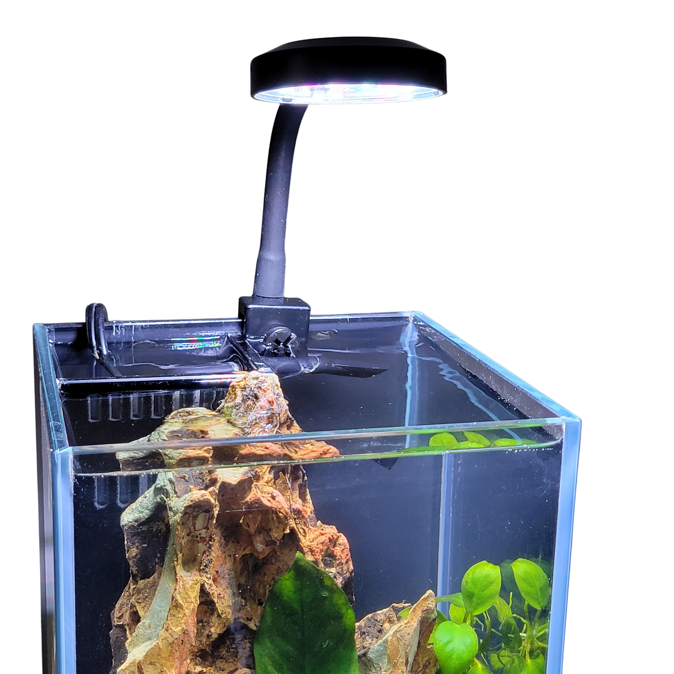 Aquarium Equipment