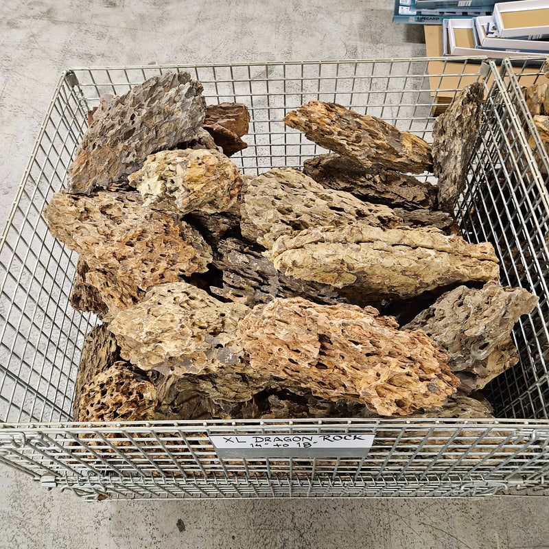 Steel Cage of Dragon Rock Large 9" to 15" Approx. 385 Lbs