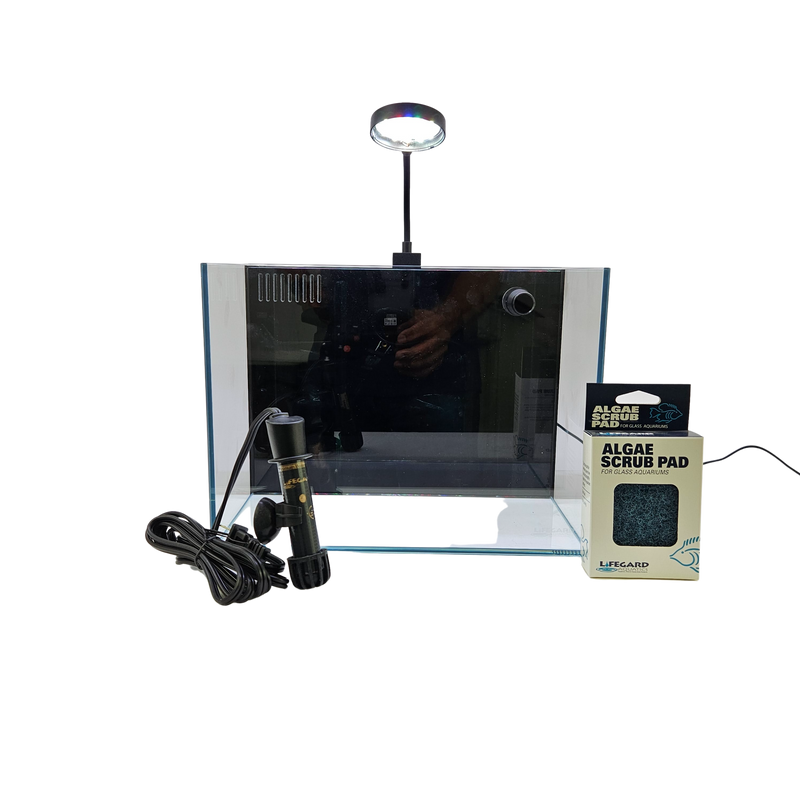 4 Gallon Ultra Low Iron CRYSTAL Aquarium with Built in Back Filter