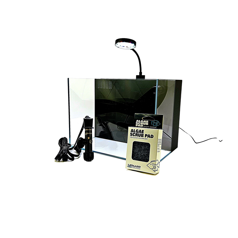 4 Gallon Ultra Low Iron CRYSTAL Aquarium with Built in Back Filter