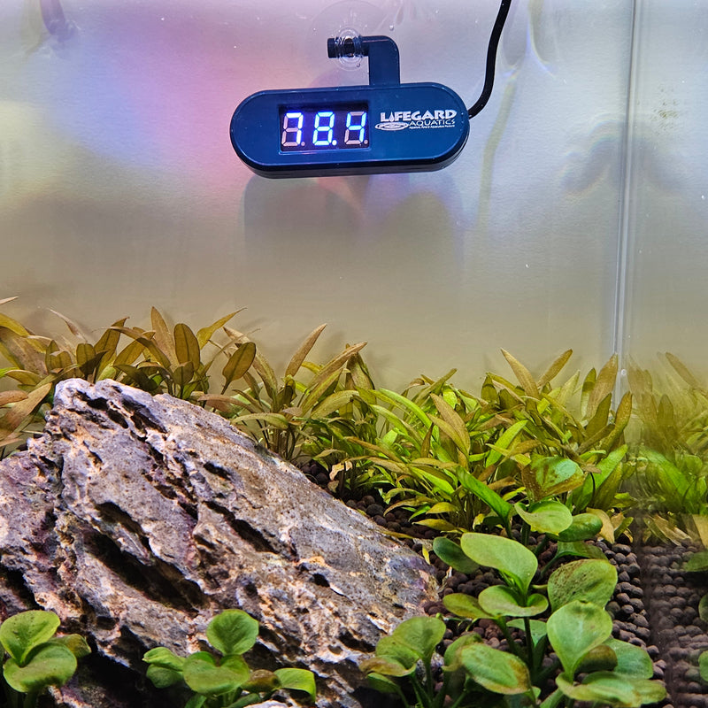 LED DIGITAL THERMOMETER