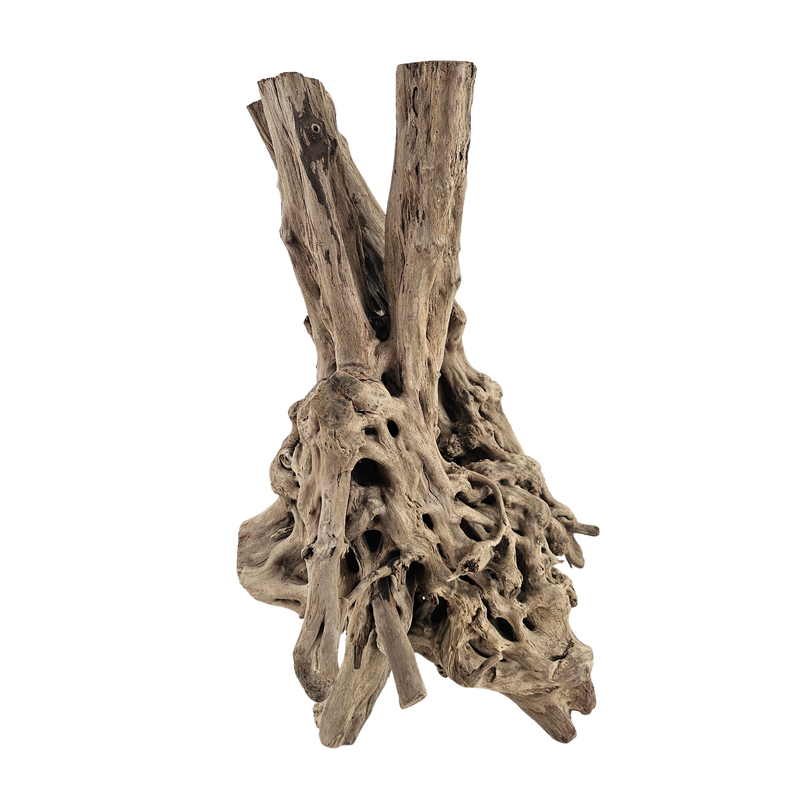 Spiderwood Tree Stump