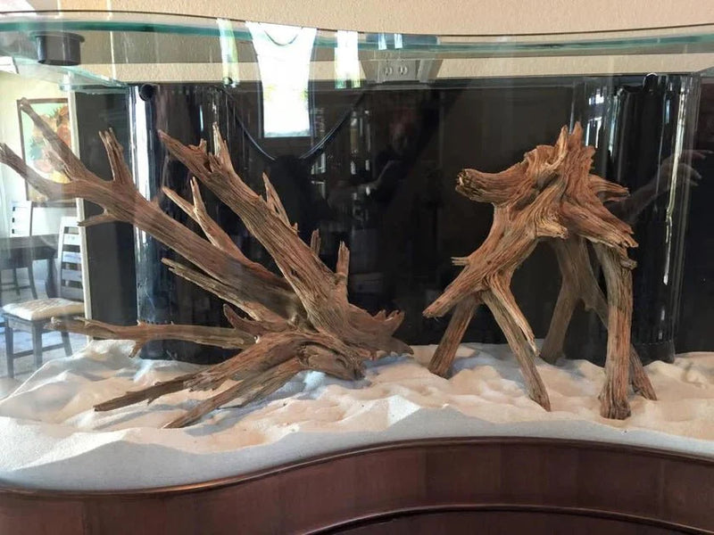 AQUA VIM 250g Wave Glass Reef-Ready Aquarium Set in Black