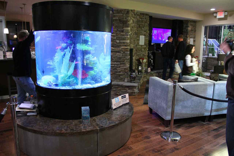 AQUA VIM 280g GLASS Cylinder Reef-Ready 48"x48"x36"H in Abyss Black Display Model