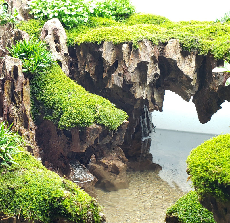 Dragon Ohko Aquascaping Rock X Large 14" to 18" Size Rocks