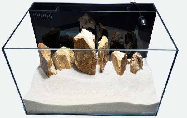 CRYSTAL 45 Degree Low Iron Ultra Clear Aquarium with Built in Back Filter (24 gallons, 23.62" x 15.75" x 14.96")