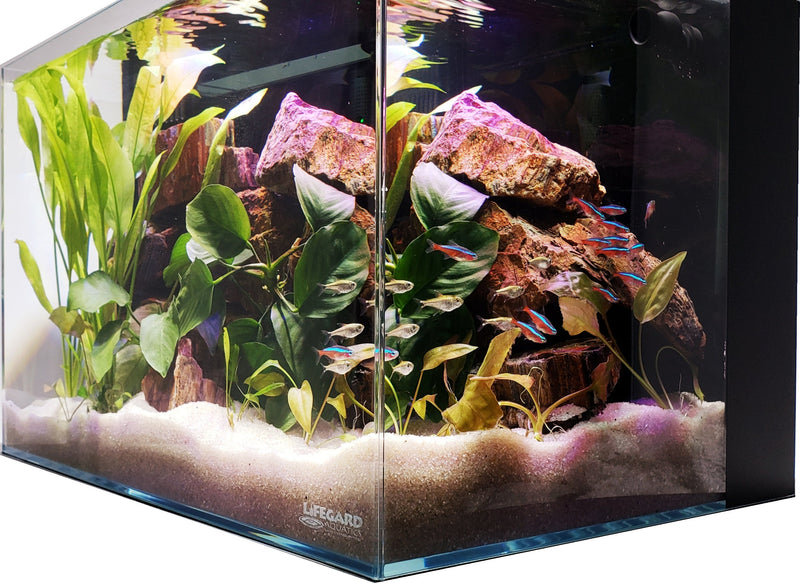 CRYSTAL 45 Degree Low Iron Ultra Clear Aquarium with Built in Back Filter (4.14 gallons, 12.2" x 8.66" x 9.06")