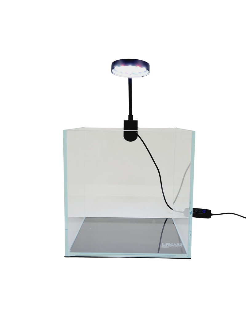 1 Gallon Low Iron Ultra Clear Glass Cube Betta Tank 5MM  6.7 x 6.7 x 6.7 Inch