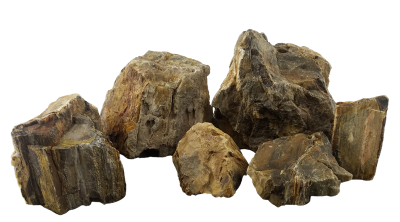 Canyon Petrified Stone - 44 Lbs box of MEDIUM size stones