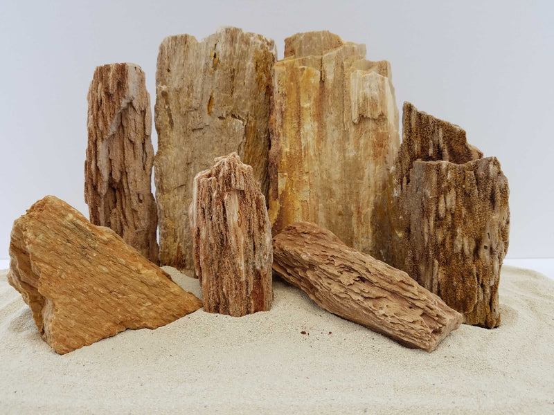 Burma Petrified Stone 25 Gallon Kit-Approximately 1-Large/2-Medium/6-Small Rocks