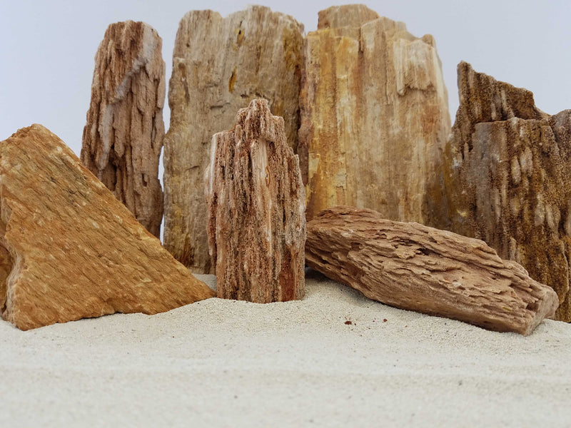 Burma Petrified Stone 25 Gallon Kit-Approximately 1-Large/2-Medium/6-Small Rocks