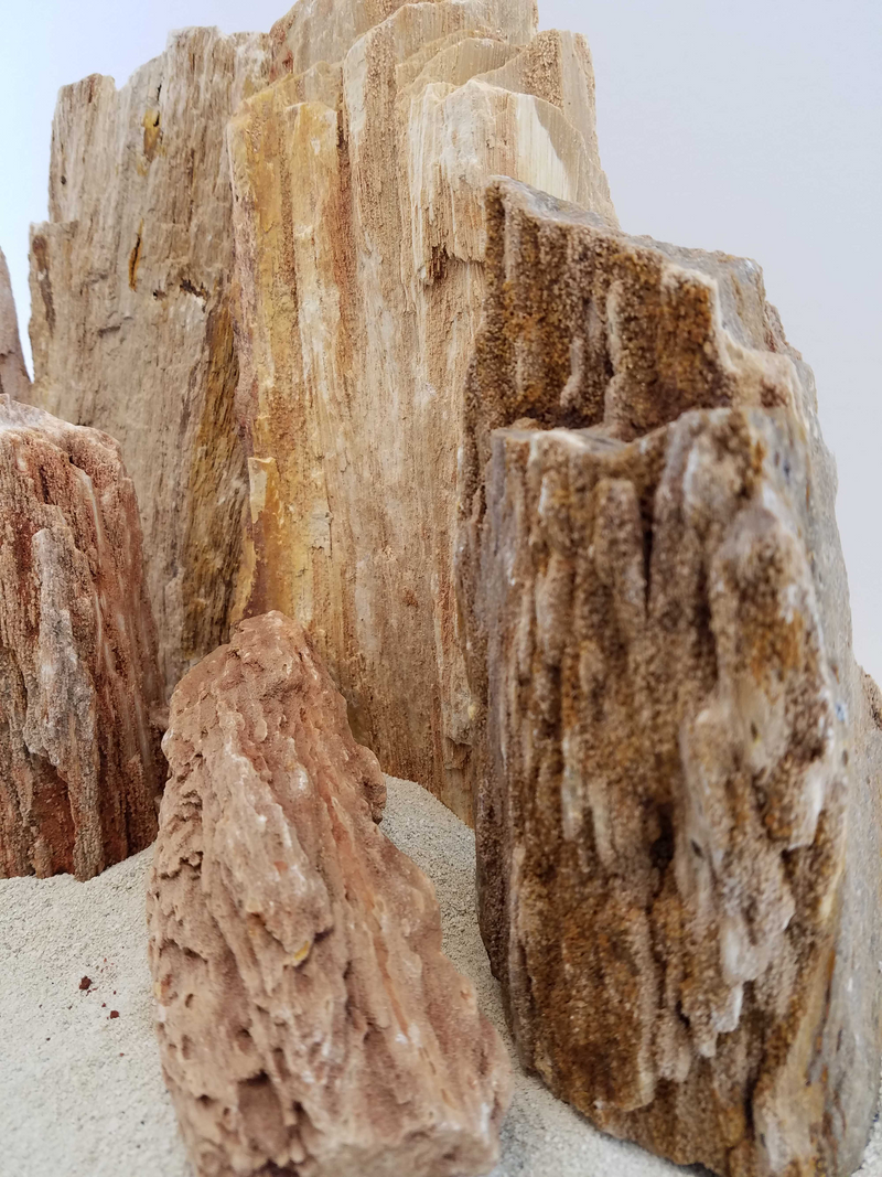 Burma Petrified Stone Kit-Approximately 2-Medium/5-Small Rocks