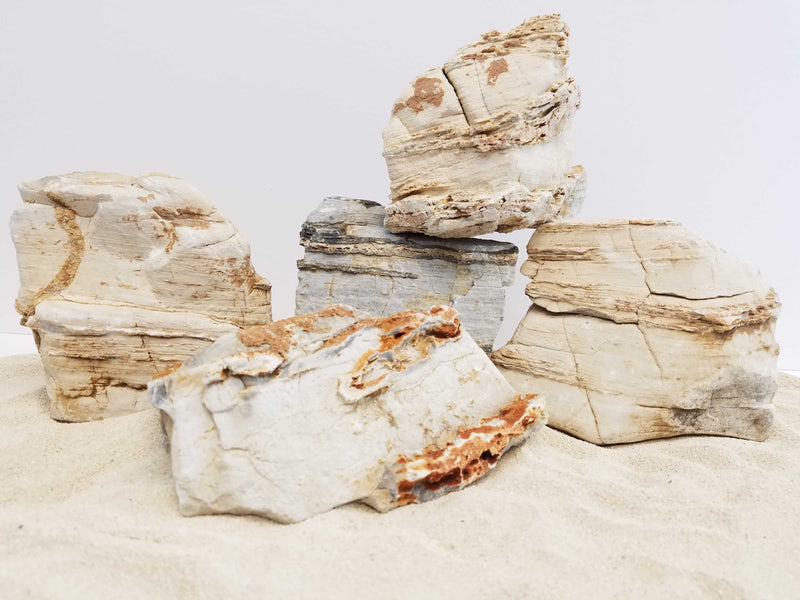 Pagoda Crema Textured Stone 24 Lbs Mix Size Case of Small, Medium and Large