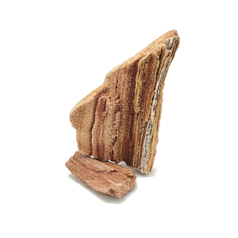 Red Wood Petrified Stonee - 44 Lbs box of MIX SIZE size stones