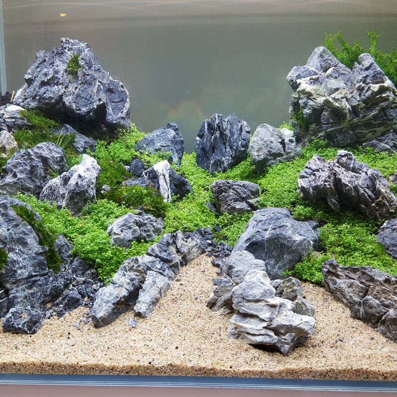 Seiryu Aquascaping Stones 25 Lbs. Mix Size Kit