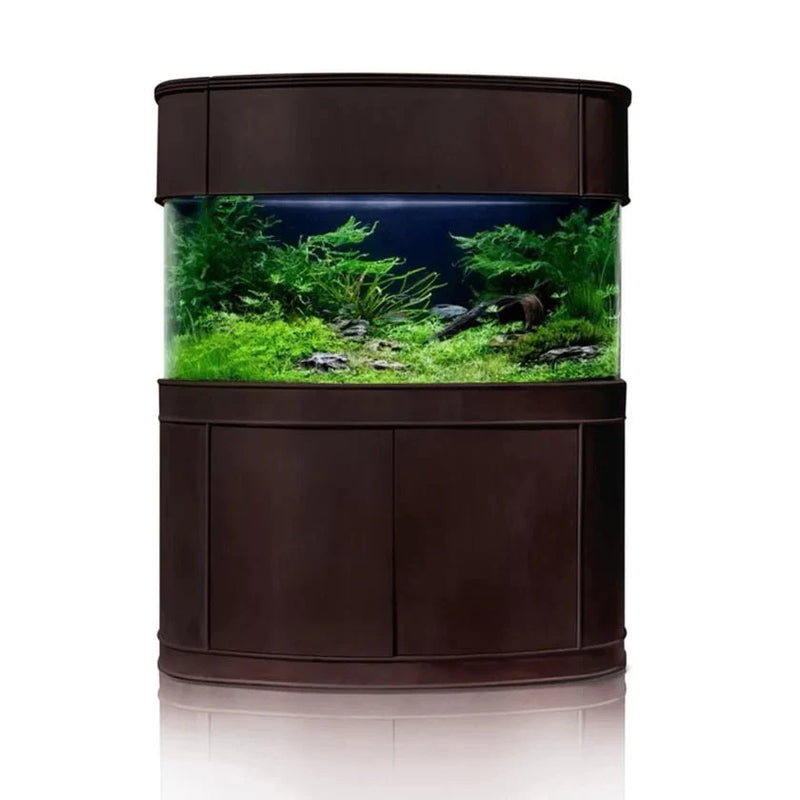 AQUA VIM 215g Seamless Glass Bowfront Reef-Ready Aquarium Set in Walnut