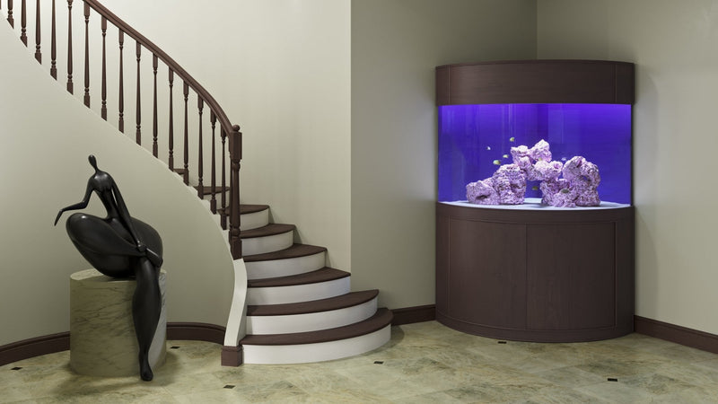 AQUA VIM Glass Corner