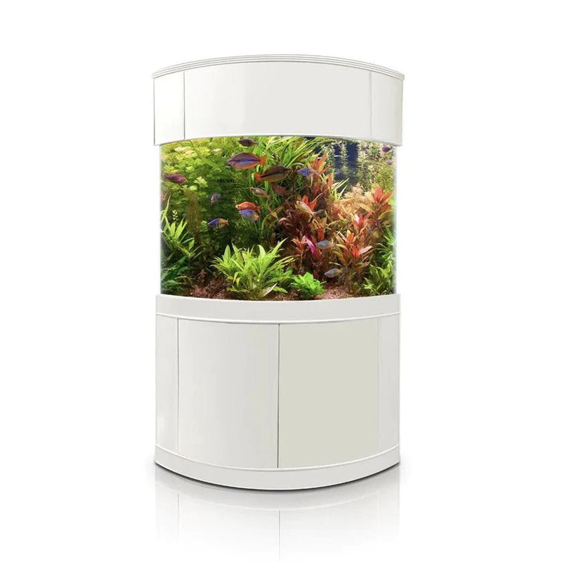 AQUA VIM 90g Corner 1/4 Cylinder Reef-Ready Aquarium Set in White