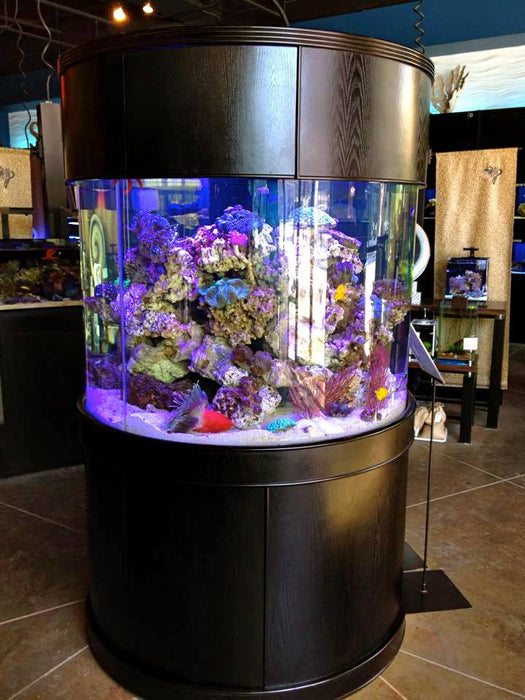 AQUA VIM Glass Full Cylinder