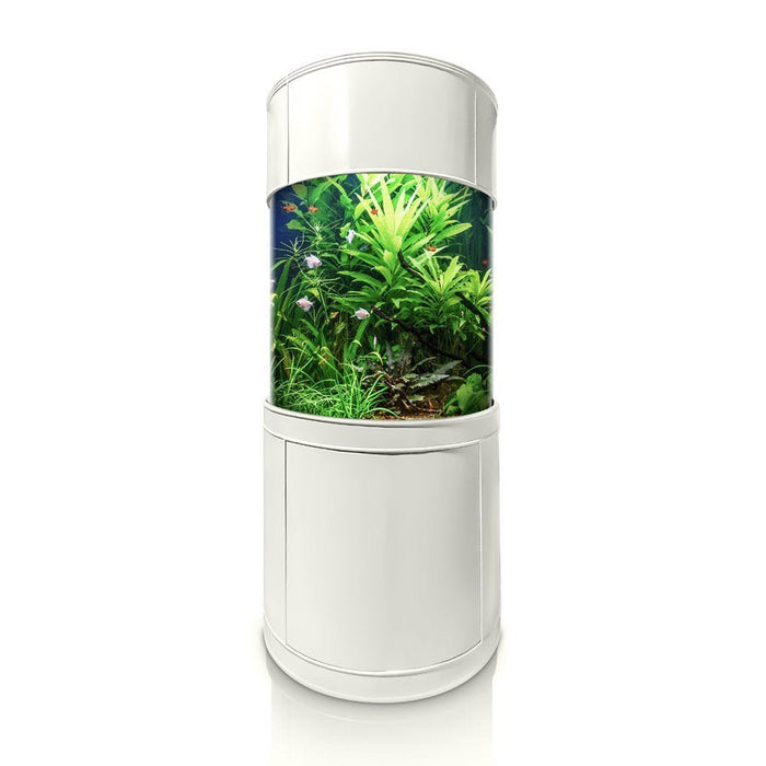 AQUA VIM Glass Full Cylinder