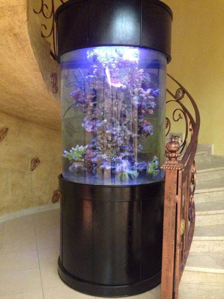 AQUA VIM Glass Full Cylinder