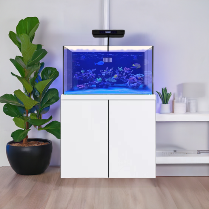 Aqua Dream 100 Gallon Coral Reef Aquarium Fish Tank Complete Set