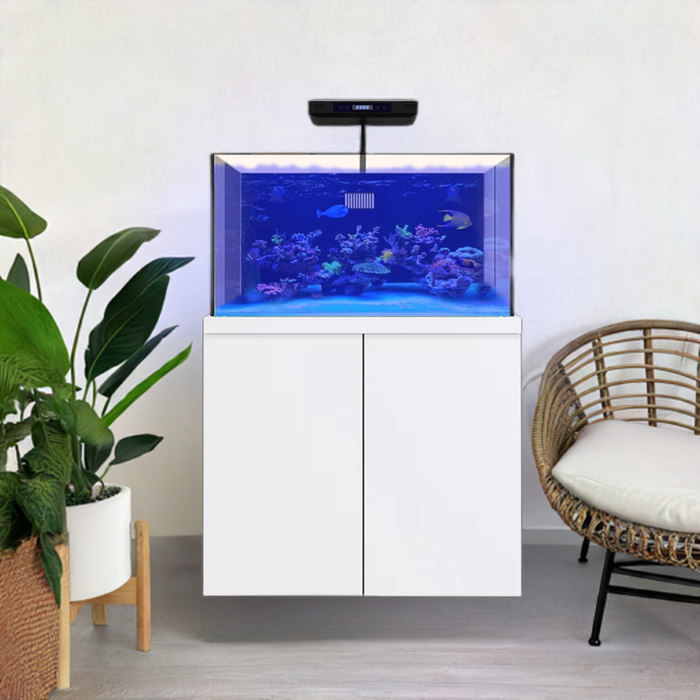 Aqua Dream 100 Gallon Coral Reef Aquarium Fish Tank Complete Set