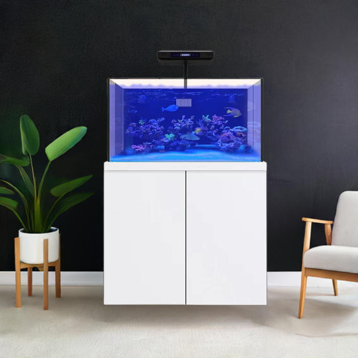 Aqua Dream 100 Gallon Coral Reef Aquarium Fish Tank Complete Set