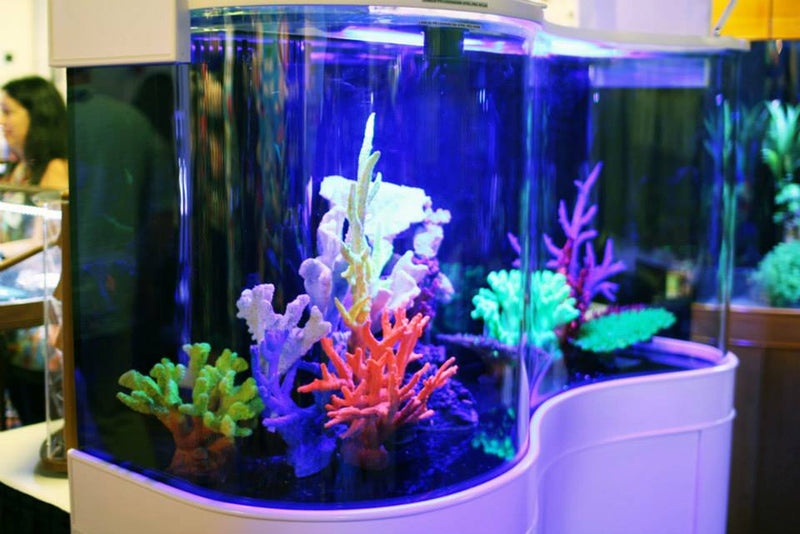 AQUA VIM Glass Seamless Wave